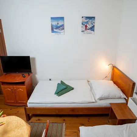 Gæstehus Plesnivec 3*