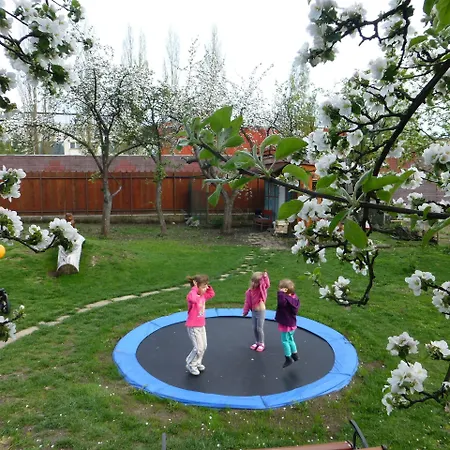 게스트하우스 Plesnivec 포프라트