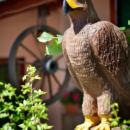 Penzion Plesnivec 3*