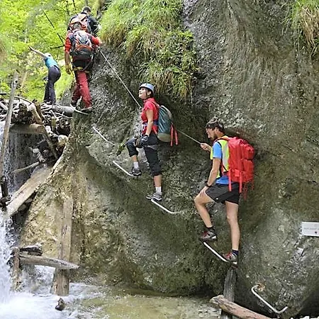 Penzión pre hostí Plesnivec