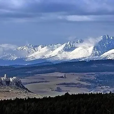 Plesnivec
