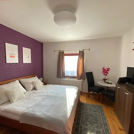Penzión pre hostí Plesnivec
