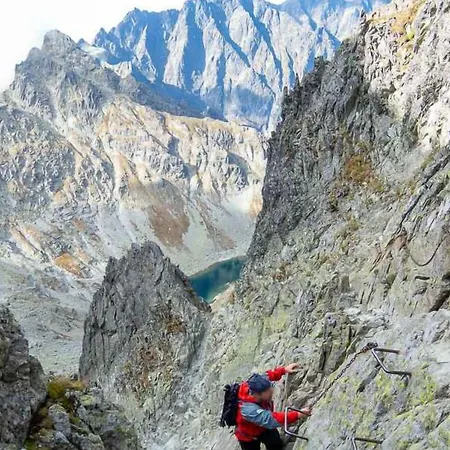 Plesnivec Poprad
