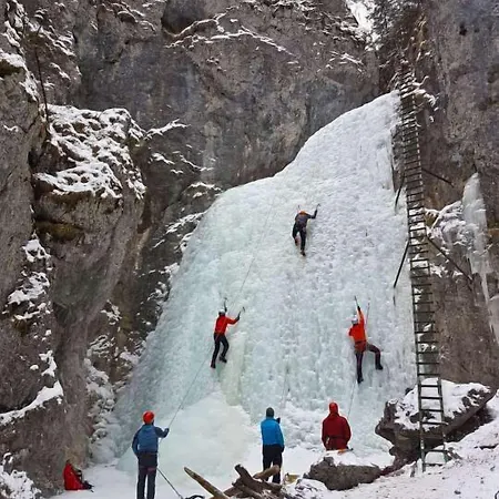 Plesnivec Penzión pre hostí